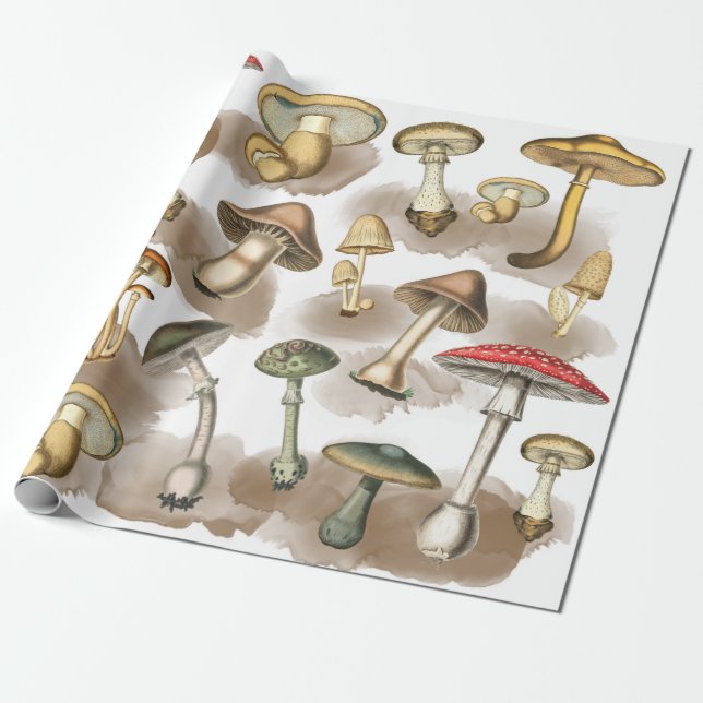 Vintage Woodland Forest Mushrooms Wrapping Wrapping Paper (Unrolled)