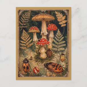 Vintage Woodland Mushrooms Autumn Greeting  Postcard