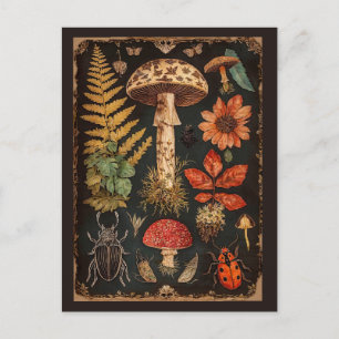 Vintage Woodland Toadstool Cottagecore  Postcard