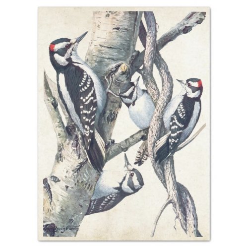 Vintage Woodpecker Bird Parchment Decoupage Nature Tissue Paper