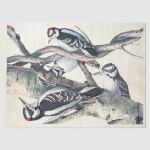 Vintage Woodpecker Bird Parchment Decoupage Nature Tissue Paper
