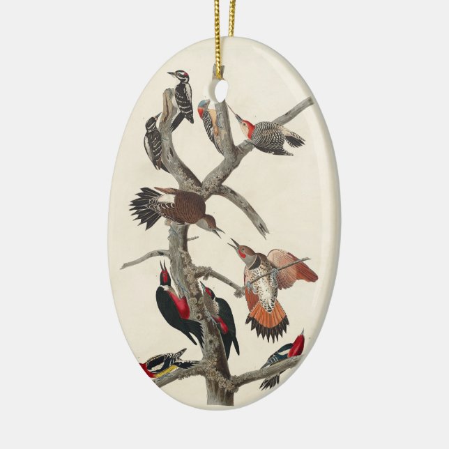 Vintage Woodpeckers Birds Classic Illustrations Ceramic Ornament (Left)
