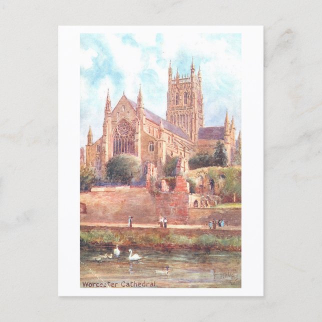 Vintage Worcester Cathedral Postcard (Front)