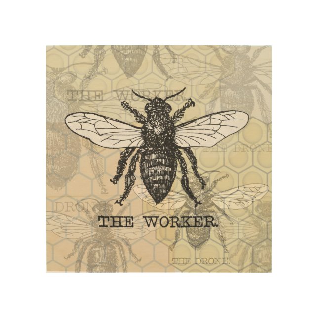 Vintage Worker Bee Illustration Art (Front)