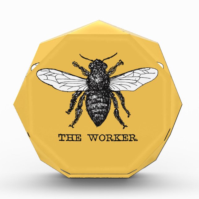 Vintage Worker Bee Illustration Art Award (Front)