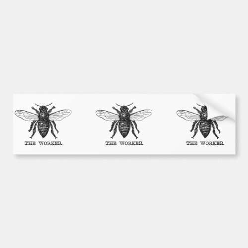 Vintage Worker Bee Illustration Art Bumper Sticker
