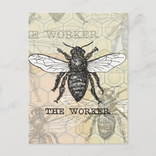 Vintage Worker Bee Illustration Art Postcard