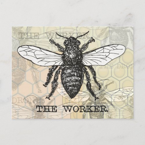 Vintage Worker Bee Illustration Art Postcard