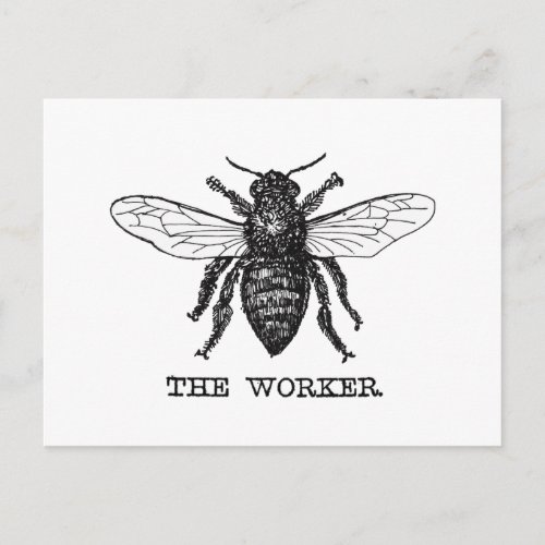 Vintage Worker Bee Illustration Art Postcard