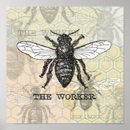 Vintage Worker Bee Illustration Art Poster