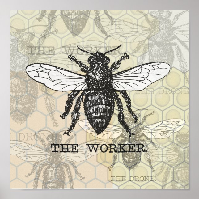 Vintage Worker Bee Illustration Art Poster (Front)
