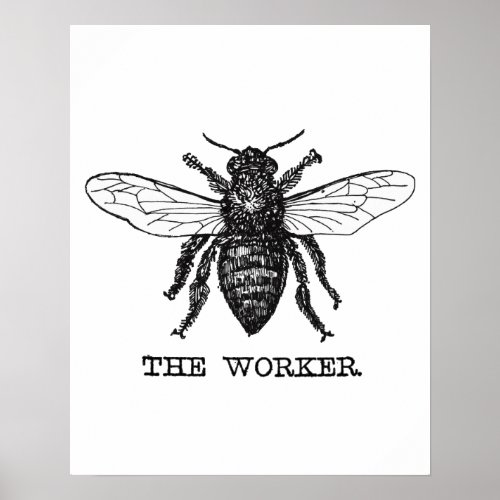 Vintage Worker Bee Illustration Art Poster