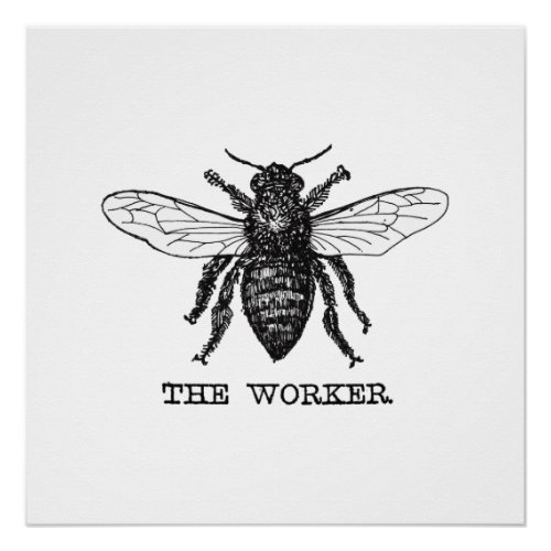 Vintage Worker Bee Illustration Art Poster