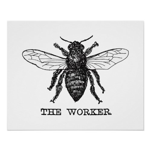 Vintage Worker Bee Illustration Art Poster