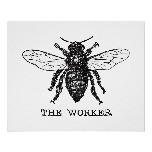 Vintage Worker Bee Illustration Art Poster (Front)