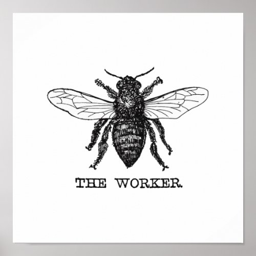 Vintage Worker Bee Illustration Art Poster