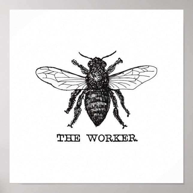 Vintage Worker Bee Illustration Art Poster (Front)