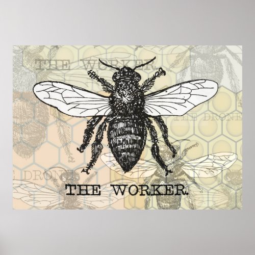 Vintage Worker Bee Illustration Art Poster