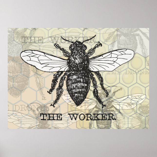 Vintage Worker Bee Illustration Art Poster (Front)