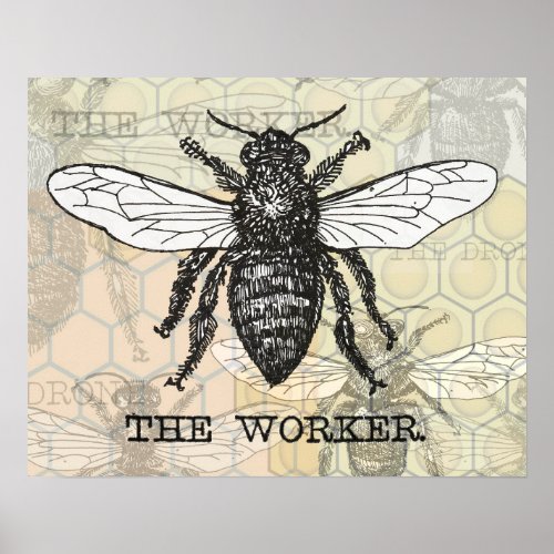 Vintage Worker Bee Illustration Art Poster