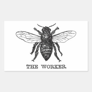 Vintage Worker Bee Illustration Art Rectangular Sticker