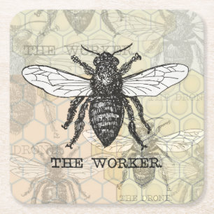 Vintage Worker Bee Illustration Art Square Paper Coaster