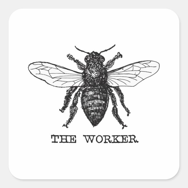 Vintage Worker Bee Illustration Art Square Sticker (Front)