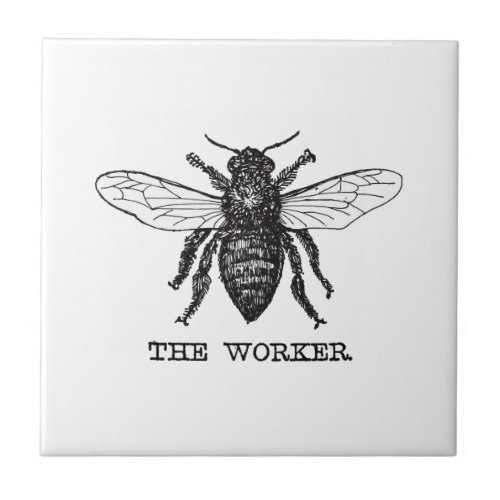 Vintage Worker Bee Illustration Art Tile