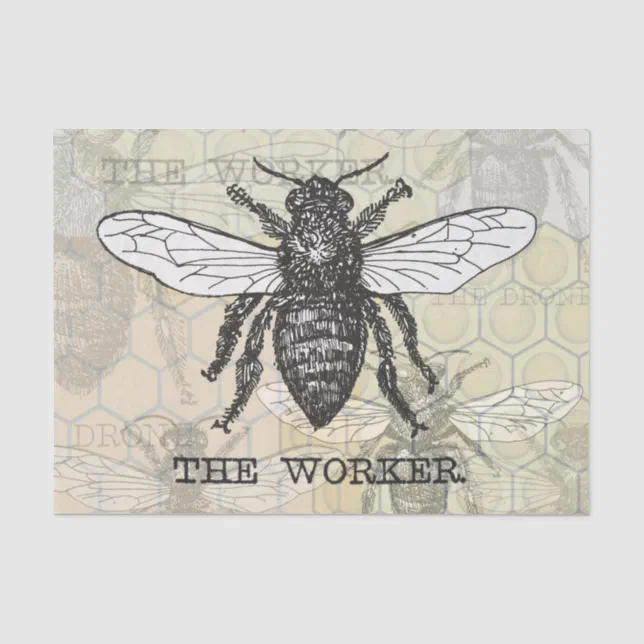 Vintage Worker Bee Illustration Art Tissue Paper | Zazzle