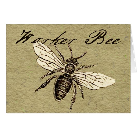 Vintage Worker Bee Insect Illustration Antique (Front Horizontal)
