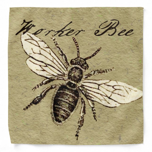 Vintage Worker Bee Insect Illustration Antique Bandana (Front)