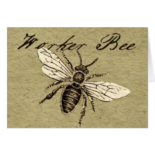 Vintage Worker Bee Insect Illustration Antique Cards