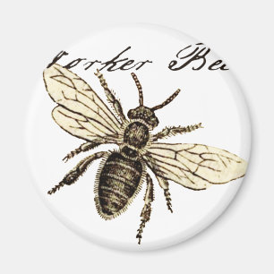 Vintage Worker Bee Insect Illustration Antique Magnet