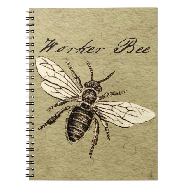 Vintage Worker Bee Insect Illustration Antique Notebook (Front)