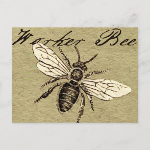 Vintage Worker Bee Insect Illustration Antique Postcard