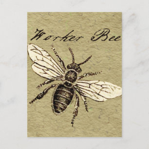 Vintage Worker Bee Insect Illustration Antique Postcard
