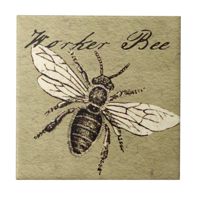 Vintage Worker Bee Insect Illustration Antique Tile (Front)