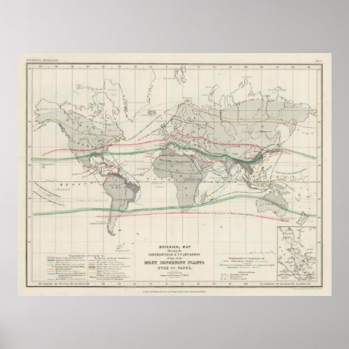 Vintage World Forest  Vegetation Map 1850 Poster