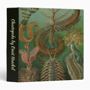 Vintage Worms Annelids Chaetopoda by Ernst Haeckel 3 Ring Binder