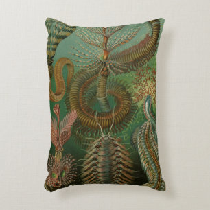 Vintage Worms Annelids Chaetopoda by Ernst Haeckel Accent Pillow