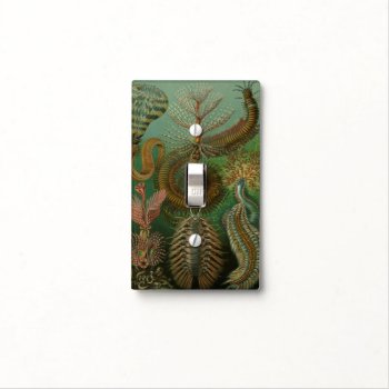 Vintage Worms Annelids Chaetopoda By Ernst Haeckel Light Switch Cover by Ernst_Haeckel_Art at Zazzle