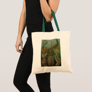Vintage Worms Annelids Chaetopoda By Ernst Haeckel Tote Bag by Ernst_Haeckel_Art at Zazzle