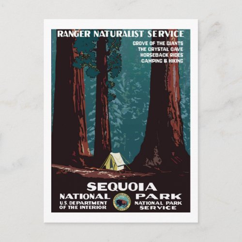 Vintage WPA Camping in Sequoia National Park Postcard