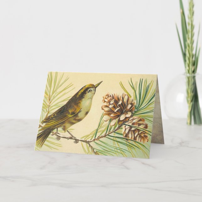 Vintage Wren Birthday Card (Front)