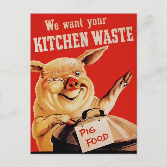 Vintage WW2 Pig Postcard (Front)