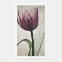 Vintage X-Ray Tulip