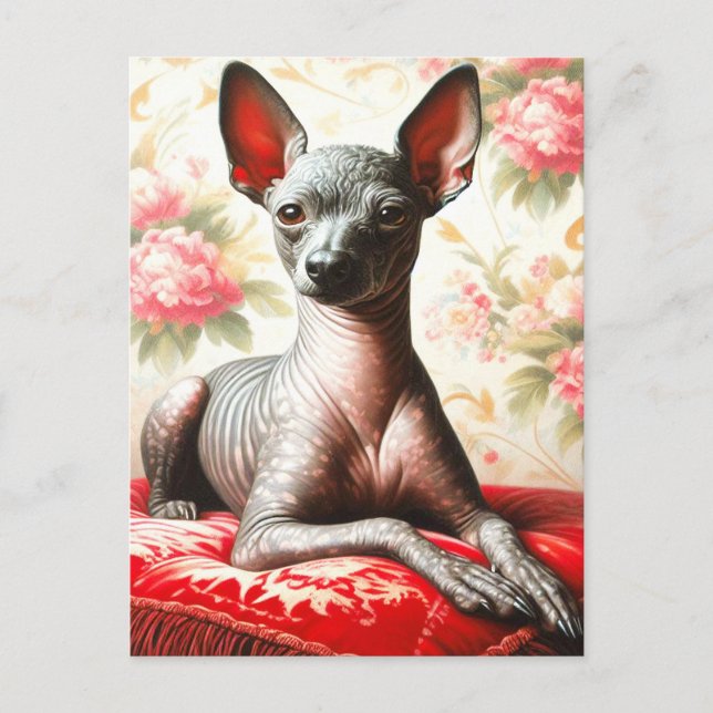 Vintage Xoloitzcuintle  Illustration Postcard (Front)