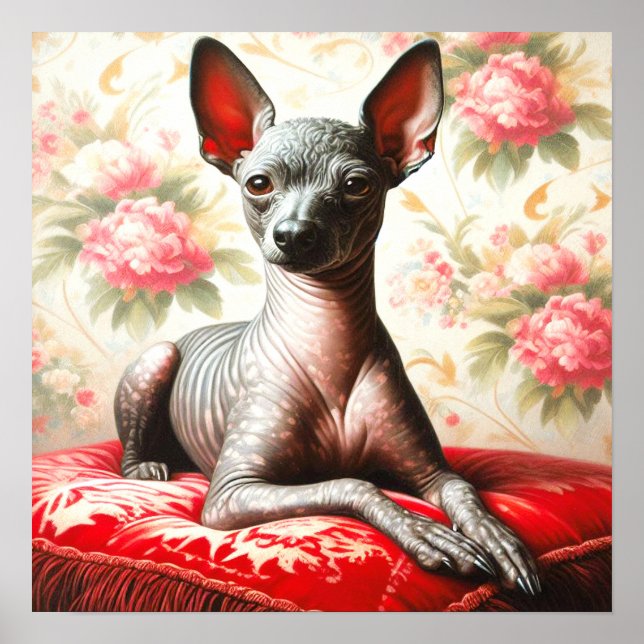 Vintage Xoloitzcuintle  Illustration Poster (Front)