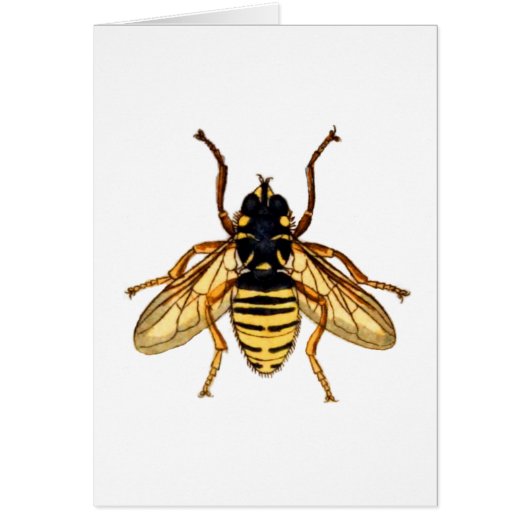 Vintage Yellow Bee Cards (Front)