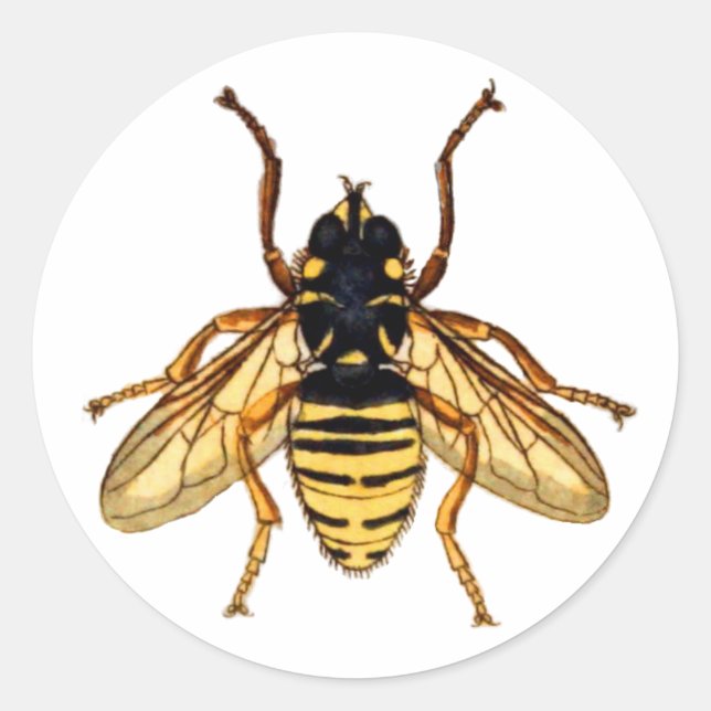 Vintage Yellow Bee Classic Round Sticker (Front)